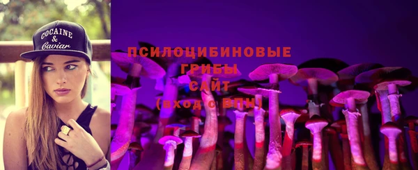 apvp Алзамай