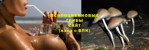эйфоретик Алексин