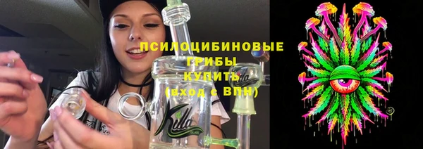 apvp Алзамай