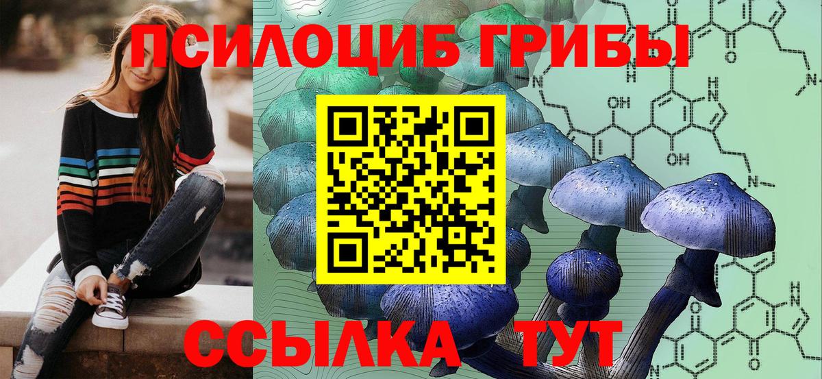 Галлюциногенные грибы Psilocybine cubensis Невинномысск
