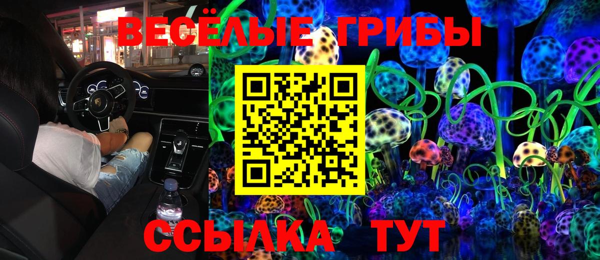 Невинномысск  Галлюциногенные грибы MAGIC MUSHROOMS  где купить   Вход с VPN  Галлюциногенные грибы GOLDEN TEACHER 